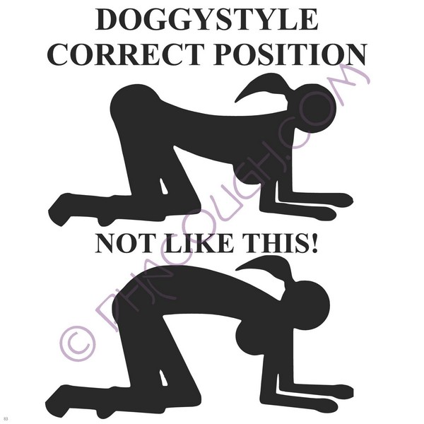 Doggystyle Correct Incorrect