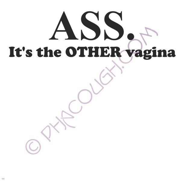 Ass The Other Vagina