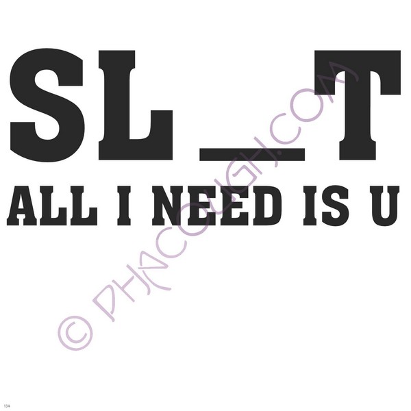 Sl_T All I Need Is U