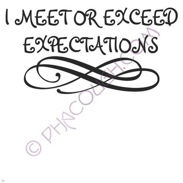 I Meet Or Exceed Expectations