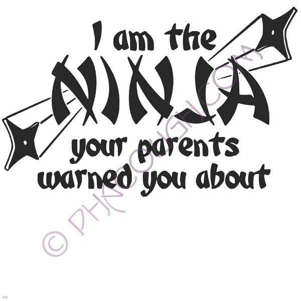 I Am The Ninja Your Parents Warned You About