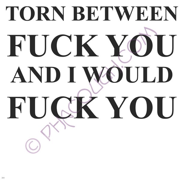 Torn Between Fuck You And I Would Fuck You