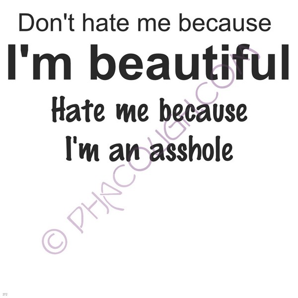 Don't Hate Me Because I'm Beautiful Hate Me