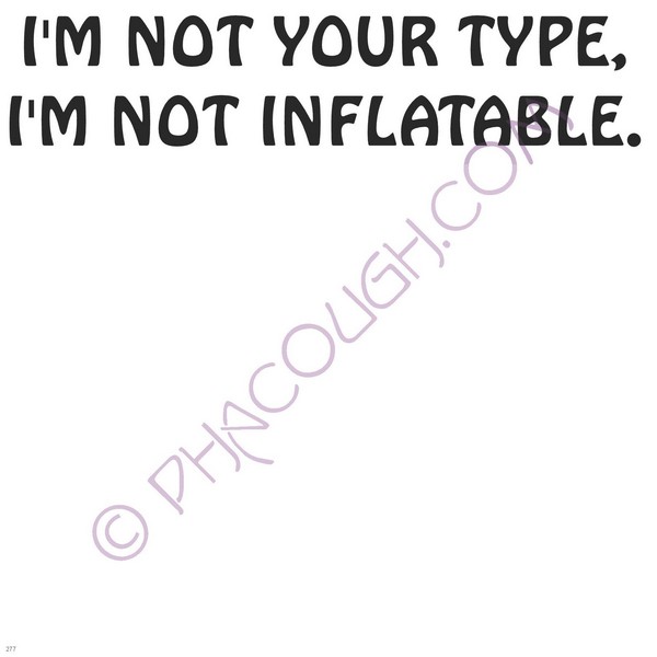 I'm Not Your Type I'm Not Inflatable