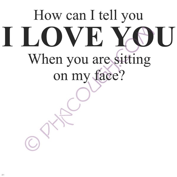 How Can I Tell You I Love You When You Are Sitting On My Face