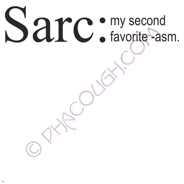 Sarc: My Second Favorite -Asm