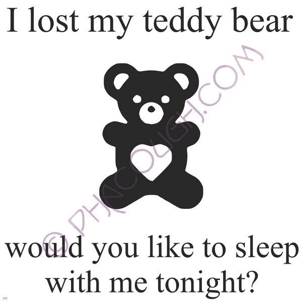 I Lost My Teddy Bear Would You Sleep With Me Tonight