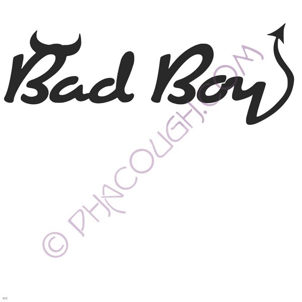 Bad Boy