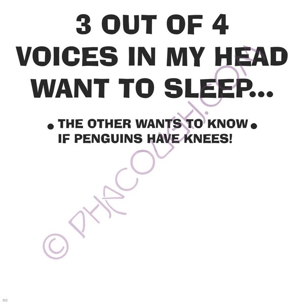 3 Out Of 4 Voices In My Head Want Me To Sleep