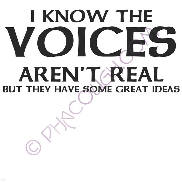 I Know The Voices Aren't Real