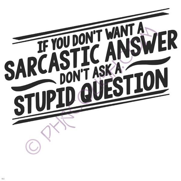 If You Don't Want A Sarcastic Answer Don't Ask A Stupid Question