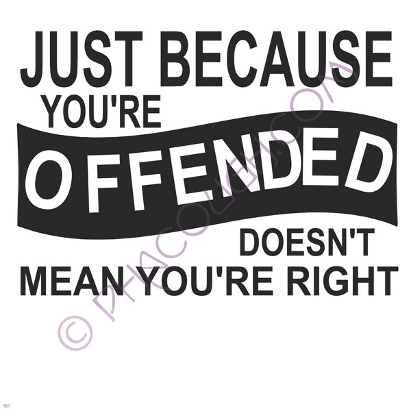 Just Because You're Offended Docent Mean You're Right