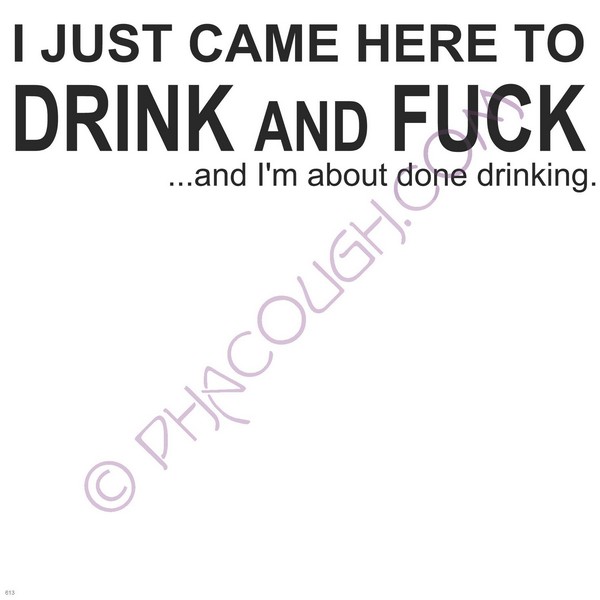 I Just Came Here To Drink And Fuck