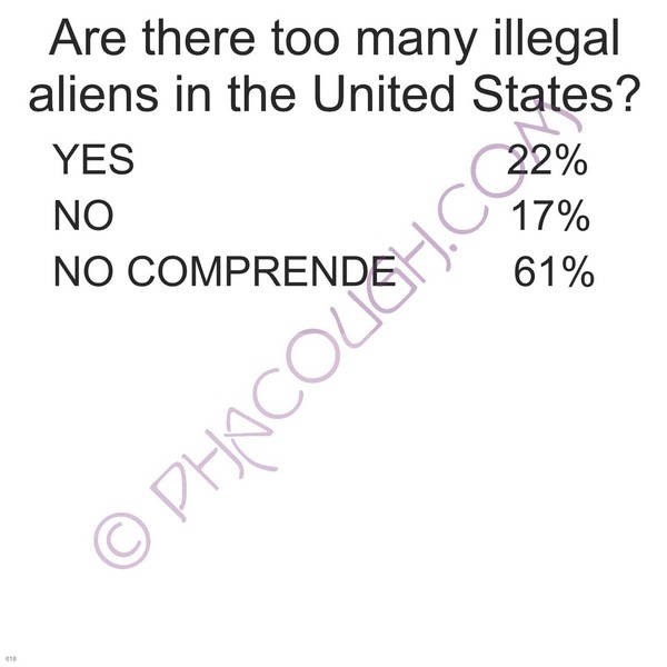 Are There Too Many Illegal Aliens In The Us?...