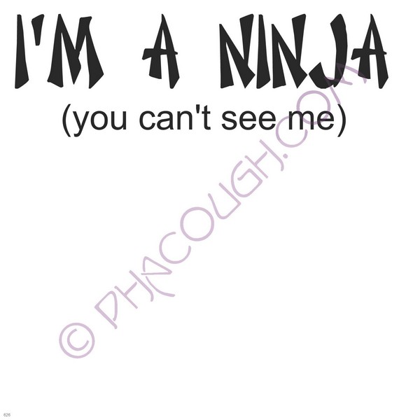 I'm A Ninja You Can't See Me