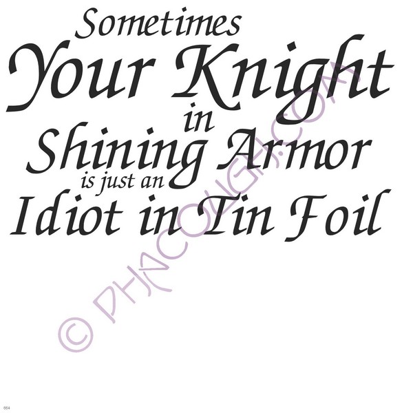 Sometimes Your Knight In Shining Armor Is Just