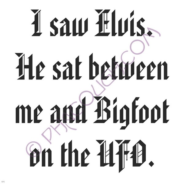 I Saw Elvis He Sat Between Me And Bigfoot On The UFO