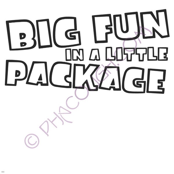 Big Fun In A Little Package