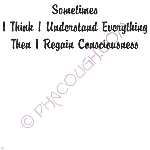 Sometimes I Think I Understand Everything Then I Regain