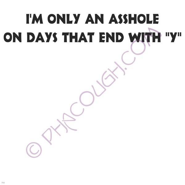 I'm Only An Asshole On Days That End In Y