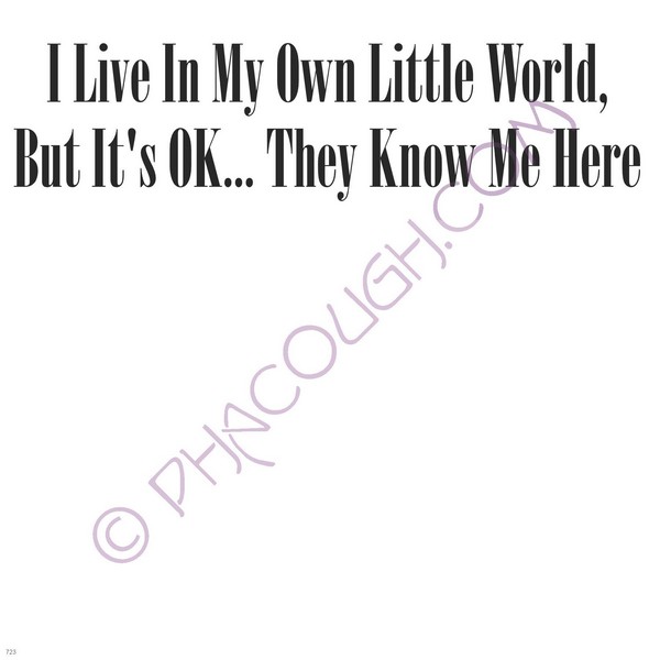 I Live In My Own Little World, Its Ok, They Know Me Here