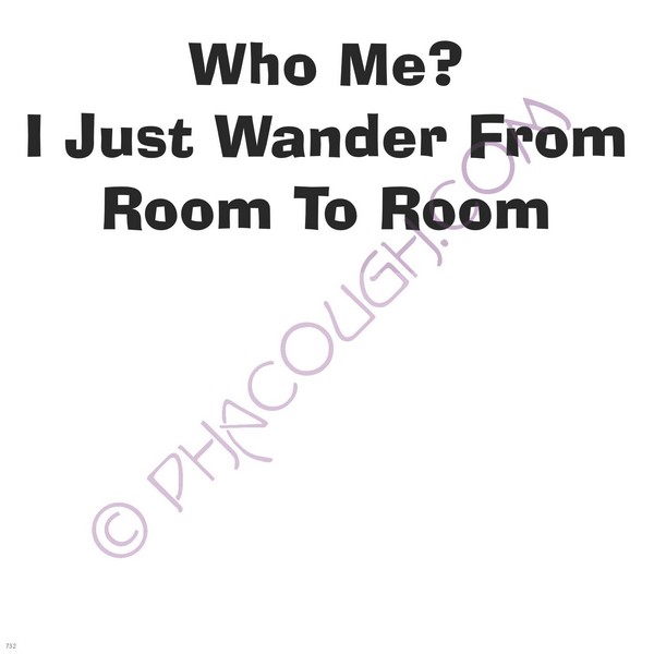 Who Me? I Just Wander From Room To Room