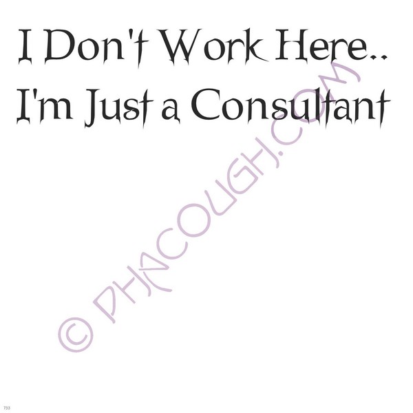 I Don't Work Here I'm Just A Consultant