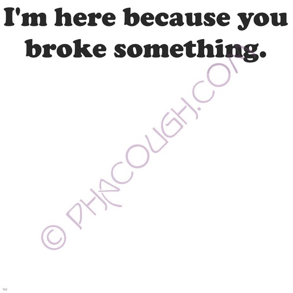 I'm Here Because You Broke Something