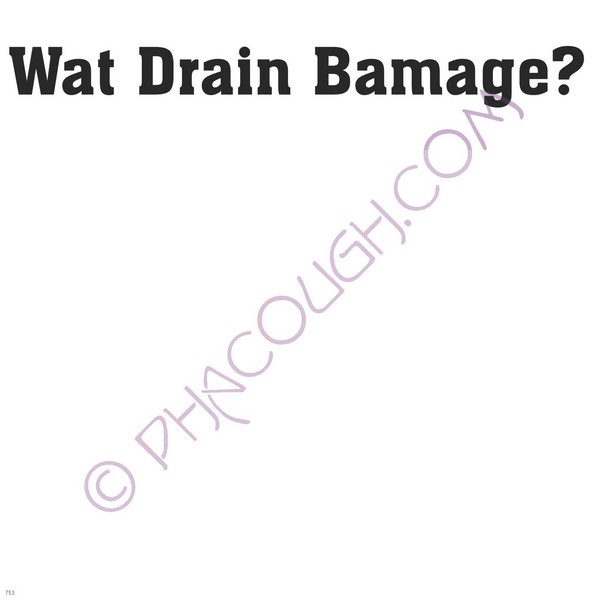 Wat Drain Bamage