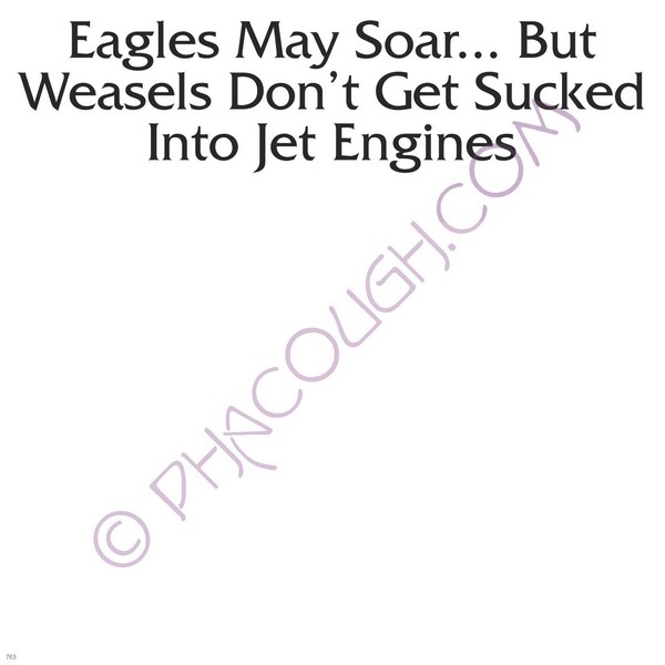 Eagles May Soar But Weasels Don't Get Sucked Into Jet Engines