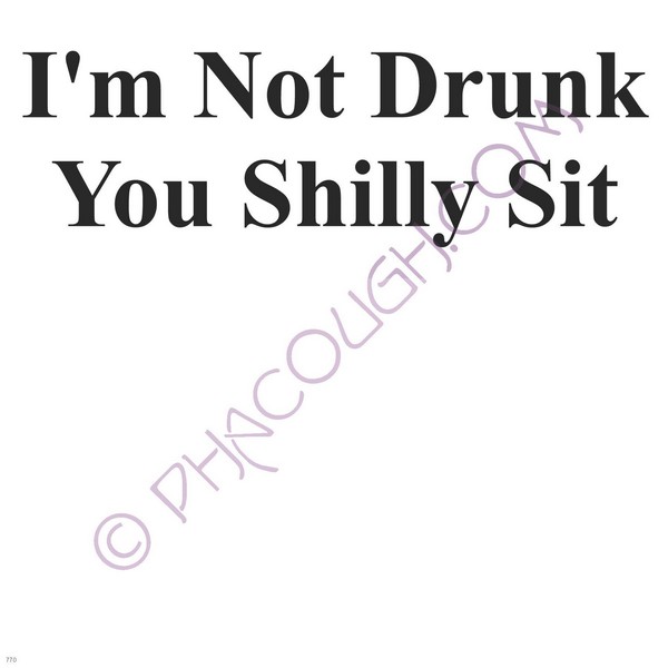 I'm Not Drunk You Shilly Sit