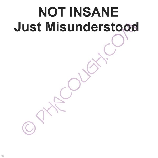 Not Insane Just Misunderstood