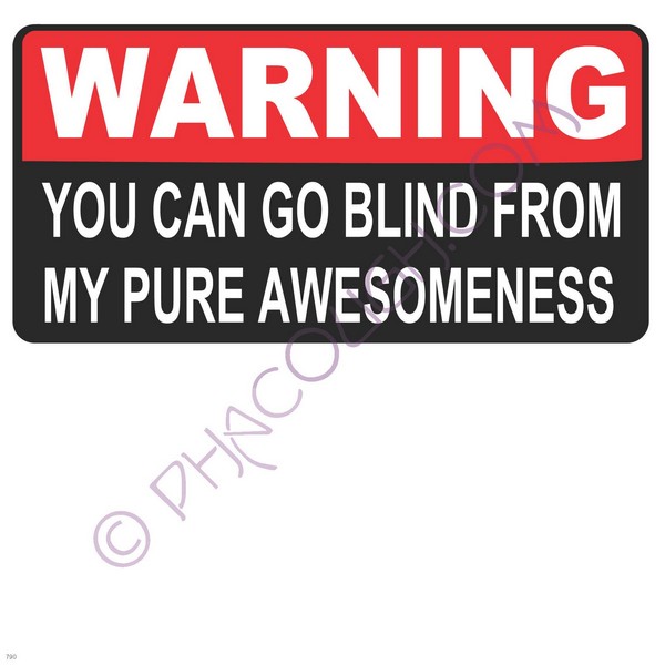 Warning You Can Go Blind From My Pure Awesomeness