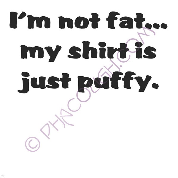 I'm not fat this shirt is just puffy