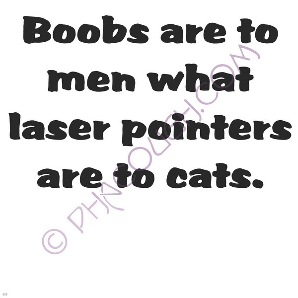 Boobs are to men what lasers pointers are to cats