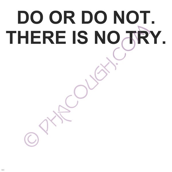 Do or do not there is no try