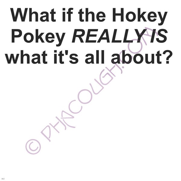 What if the Hokey Pokey Really is what it's about?