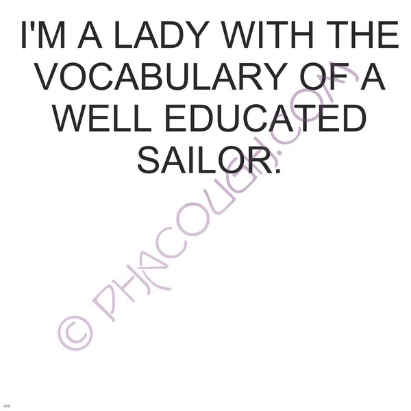 I'm a lady with the vocabulary of an educated sailor.