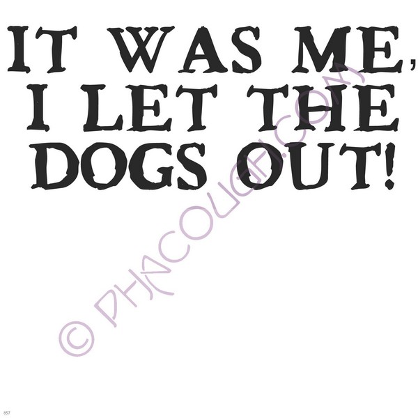 It was me I let the dogs out