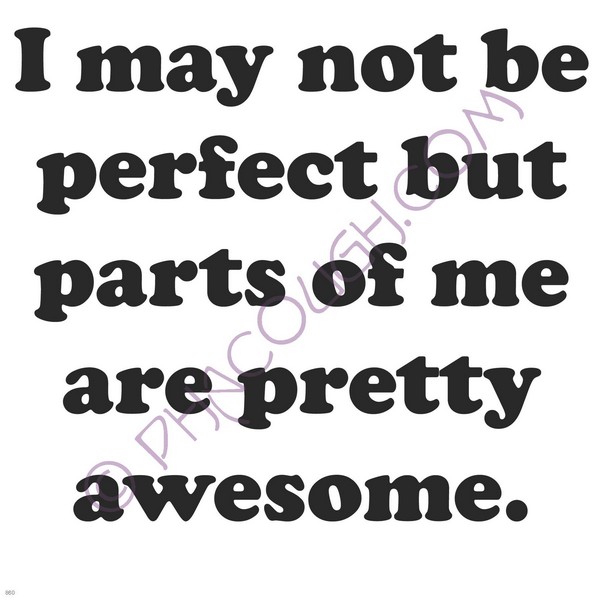 I may not be perfect but parts of me are pretty awesome