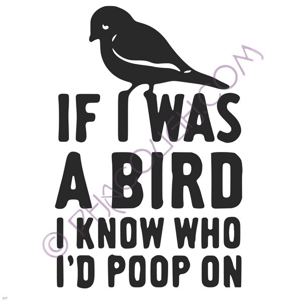 If I was a bird, I know who I would poop on