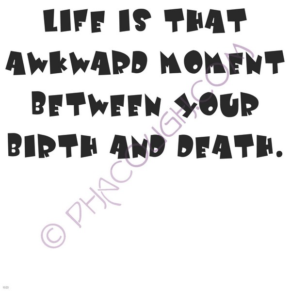 Life is that awkward moment between birth and death