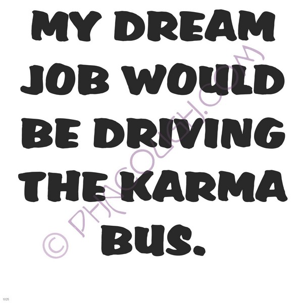 My dream job would be driving the karma bus