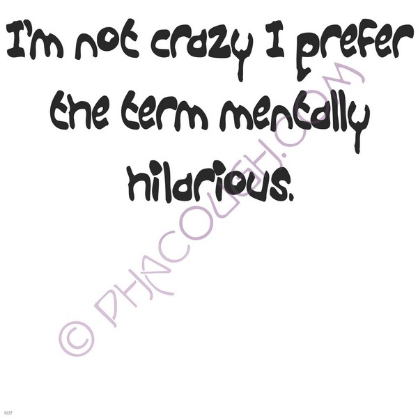 I'm not crazy I prefer the term mentally hilarious