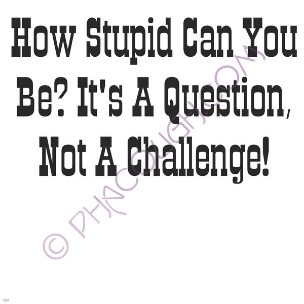 How stupid can you be it's a question not a challenge