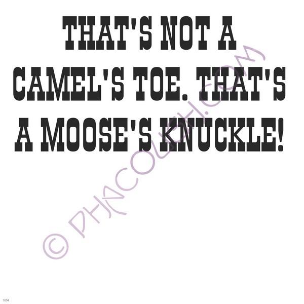 That s not a camel's toe that's a moose's knuckle