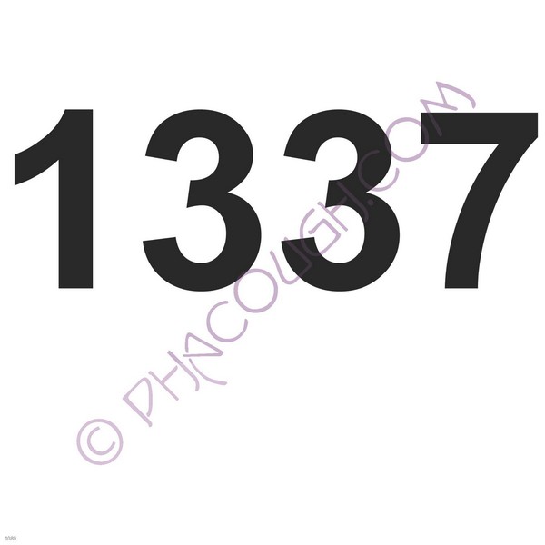 1337 (leet)