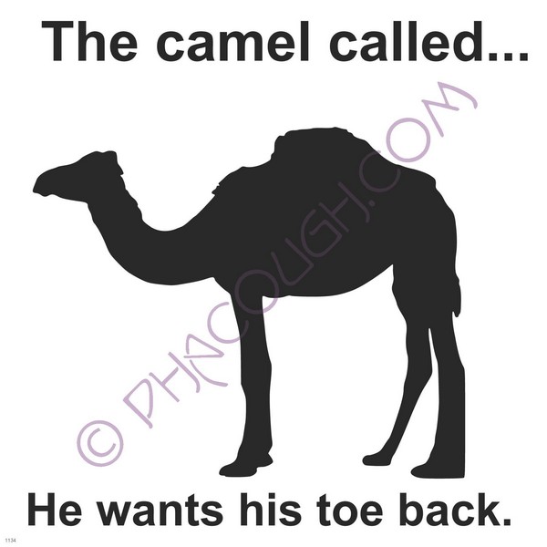 The camel called he wants his toe back