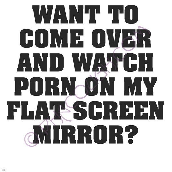 Want to come over and watch my flat screen mirror