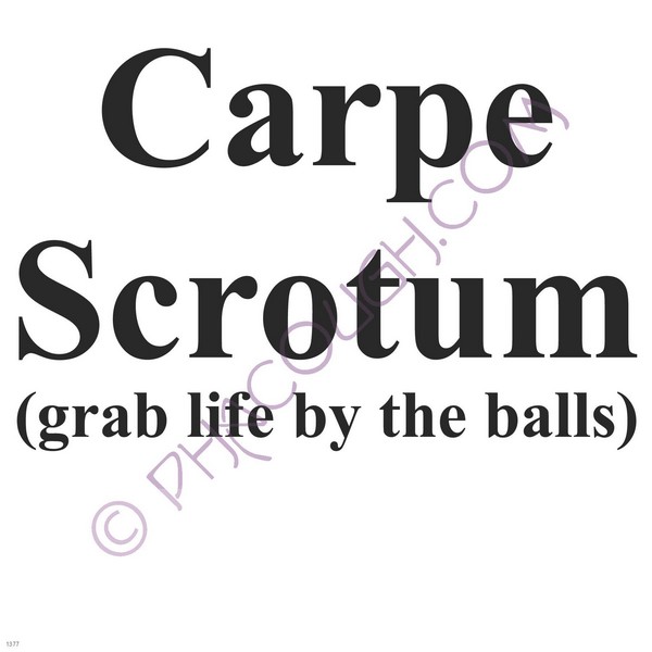 Carpe scrotum (grab life by the balls)